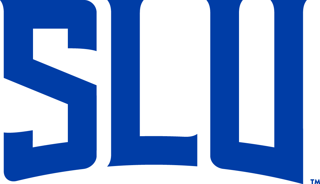 Saint Louis Billikens 2015-Pres Wordmark Logo v5 iron on transfers for clothing